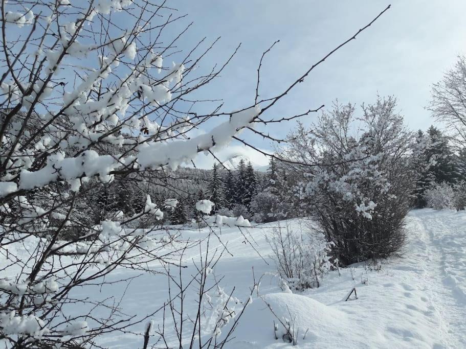 Duplex 59M2 - Proche Centre - Balcon Plein Sud Apartment Correncon-en-Vercors Exterior photo