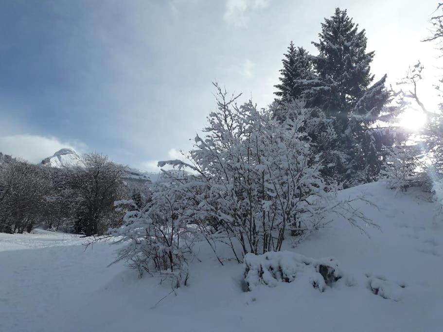 Duplex 59M2 - Proche Centre - Balcon Plein Sud Apartment Correncon-en-Vercors Exterior photo
